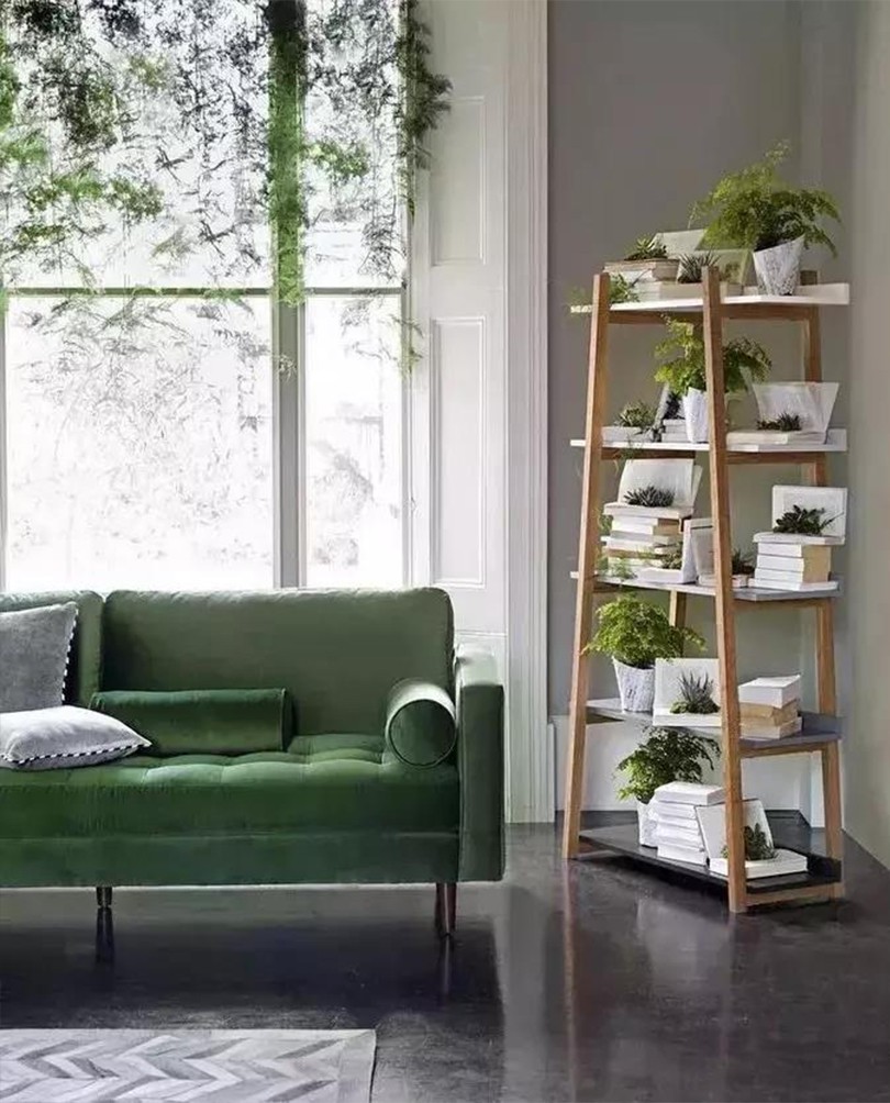 1578621197292960.jpg 5.jpg